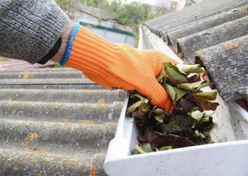 Commercial Gutter Cleaning in Littleton, CO