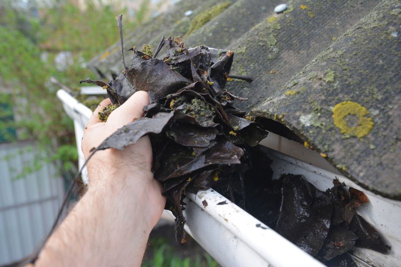 Downspout Cleaning in Monmouth County, NJ