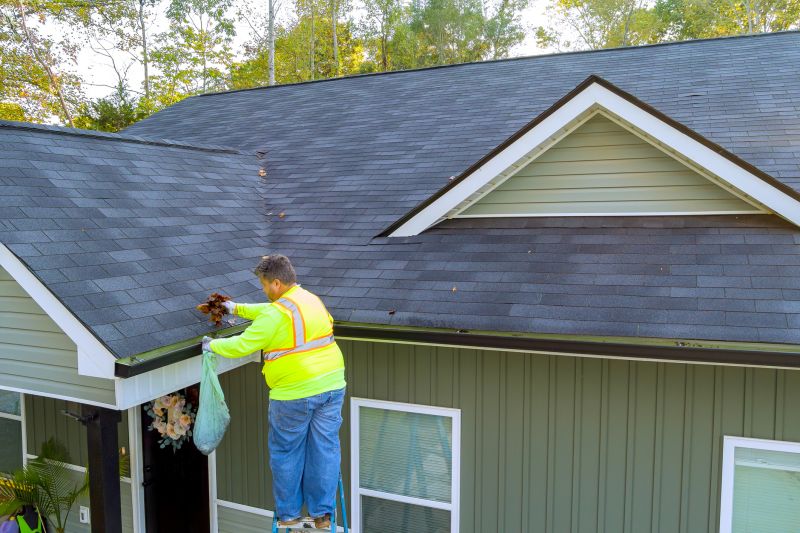 Gutter Clearing and Maintenance