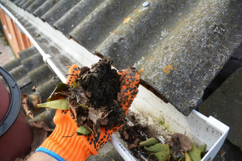 Gutter Cleaning in Richmond, VA