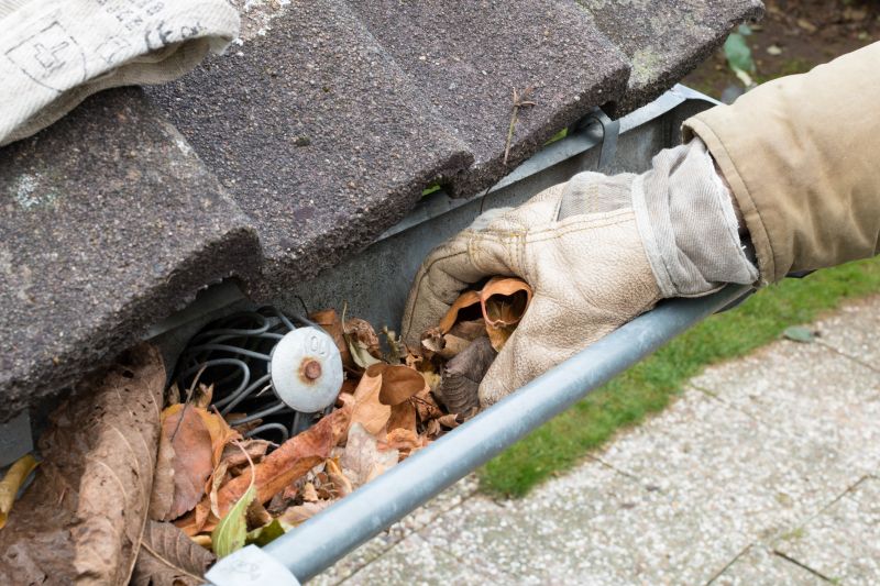 Gutter Leaves Removal in Baltimore, MD